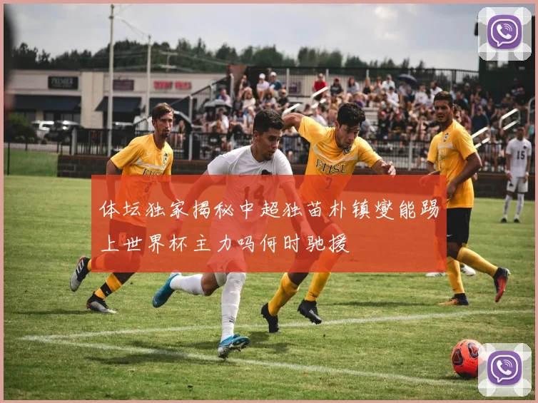 体坛独家揭秘中超独苗朴镇燮能踢上世界杯主力吗何时驰援